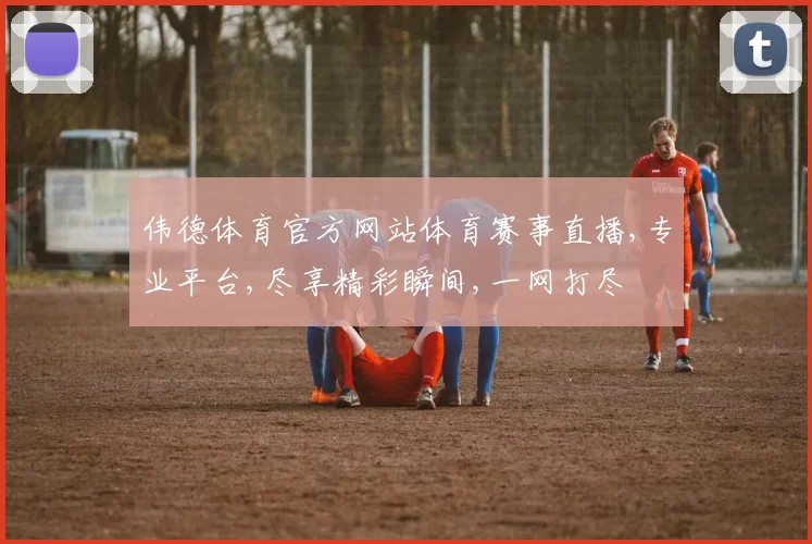 伟德体育官方网站体育赛事直播,专业平台,尽享精彩瞬间,一网打尽