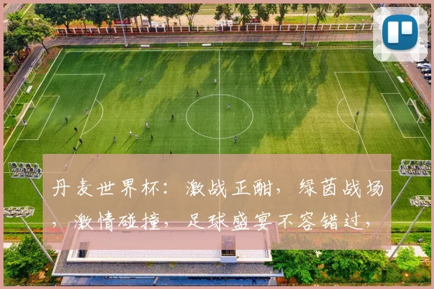 丹麦世界杯：激战正酣，绿茵战场，激情碰撞，足球盛宴不容错过，共赏精彩