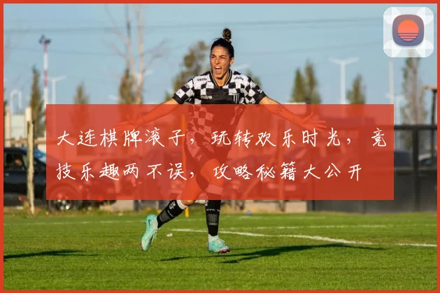 大连棋牌滚子，玩转欢乐时光，竞技乐趣两不误，攻略秘籍大公开