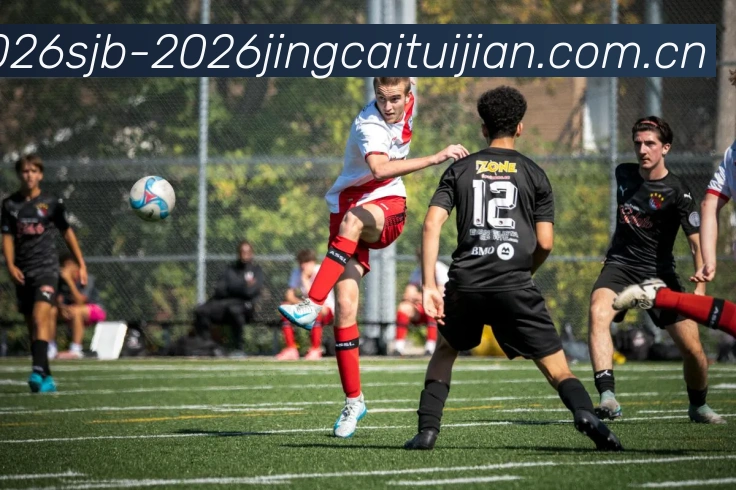 世界杯2026竞猜推荐平台生态图